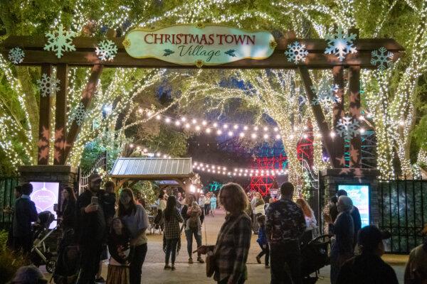 Thousands of lights decorate Busch Gardens as part of the annual Christmas Town event in Tampa, Fla. (Luis Santana/Tampa Bay Times/TNS)