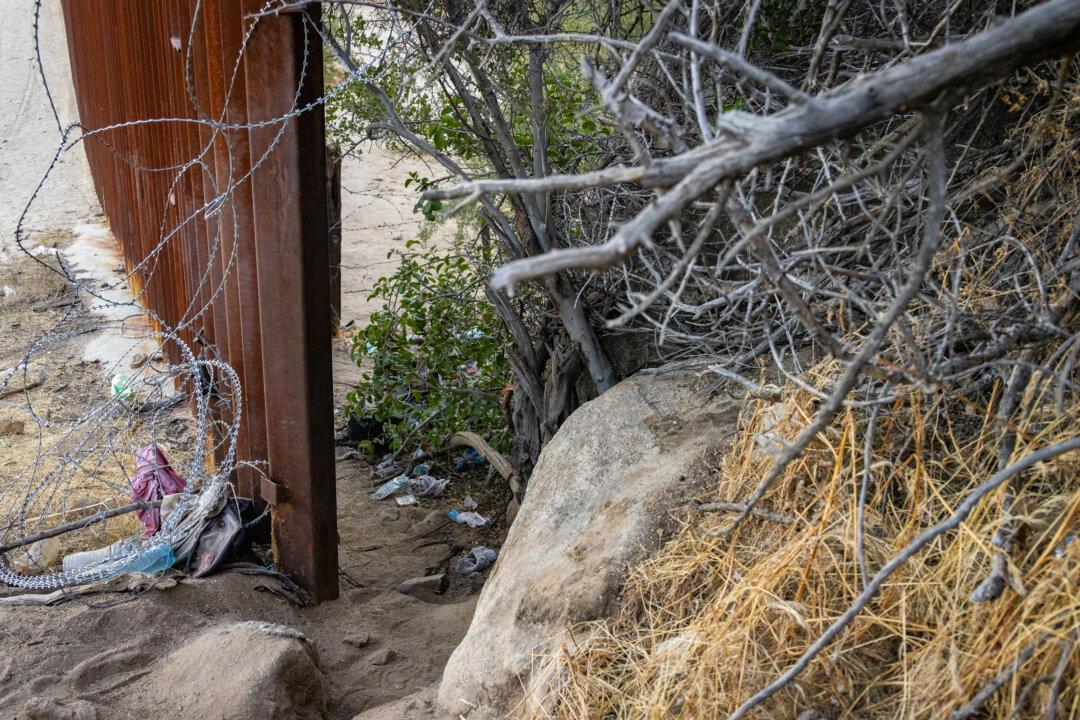 Agents Put on High Alert After IEDs Found Near US–Mexico Border: Report