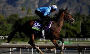 Racehorse Deaths This Year Has Breeders’ Cup Under Intense Scrutiny