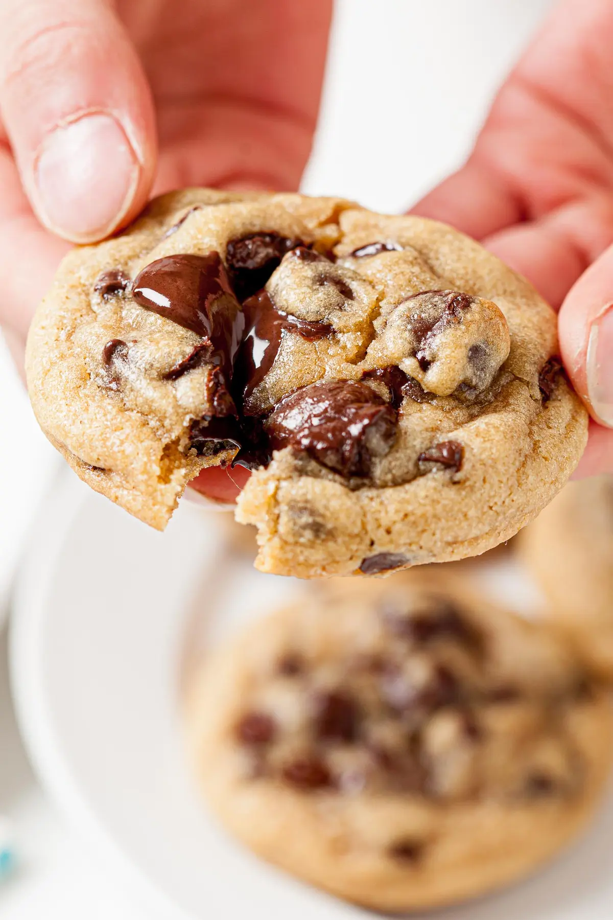 Forever Chewy Chocolate Chip Cookies