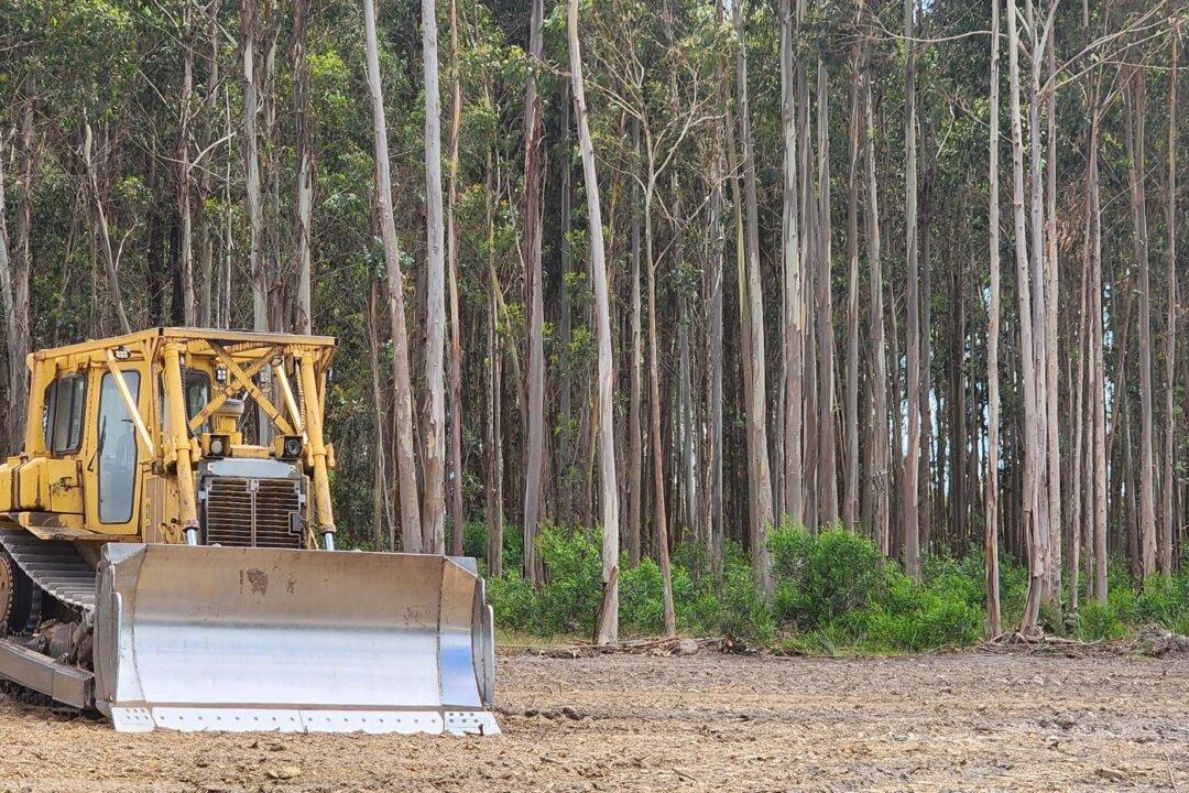 Alcoa Mine Clearing to Supply Scarce Western Australia’s Hardwood Timber