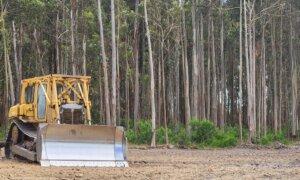 Alcoa Mine Clearing to Supply Scarce Western Australia’s Hardwood Timber