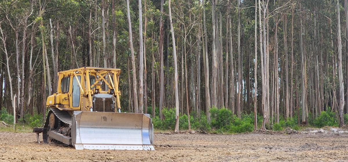 Alcoa Mine Clearing to Supply Scarce Western Australia’s Hardwood Timber