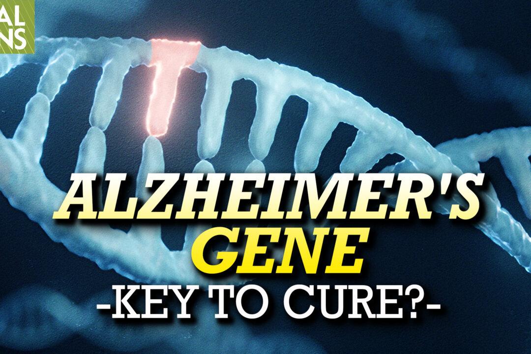 ‘Alzheimer’s Gene’ Heightens Alzheimer’s Risk but the Plasmalogen Nutrient Defends Against It—Key to Cure? (Part 1)