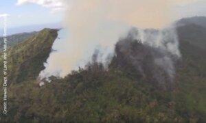 Video: Oahu Wildfire Moving Away From Towns, Officials Say