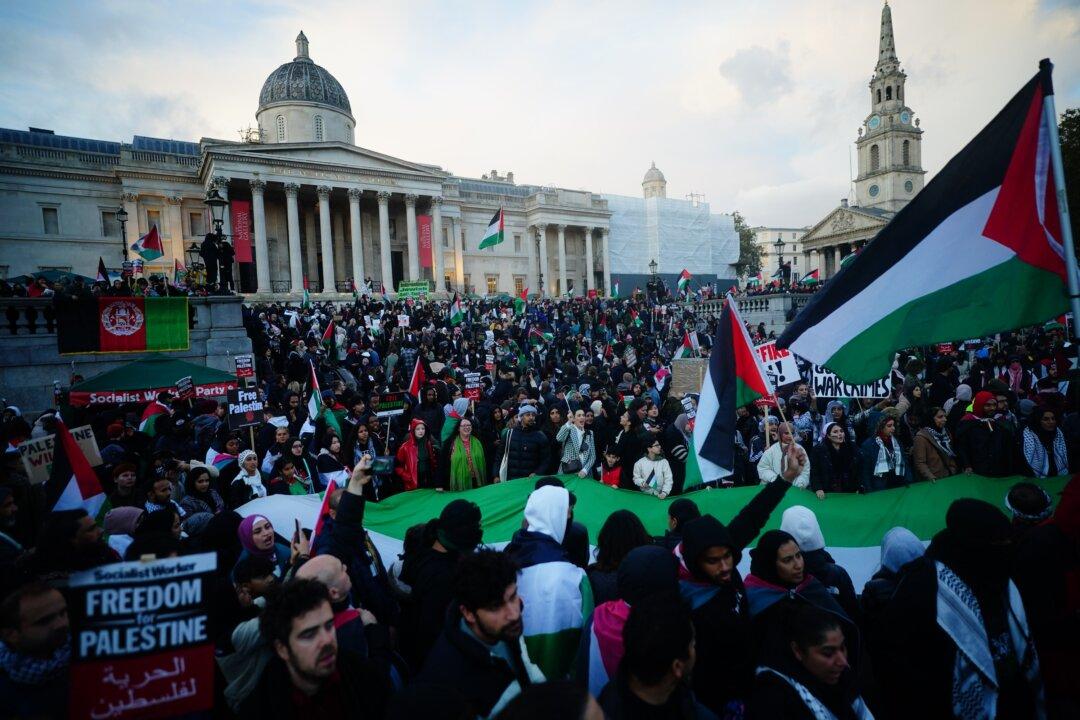 29 Arrested in Pro-Palestinian March in London