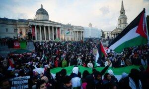 29 Arrested in Pro-Palestinian March in London