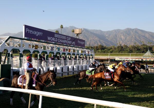 Start of the Breeders' Cup Juvenile Turf (Grade 1) as jockey Lanfranco Dettori rides Endlessly to victory at Santa Anita Park in Arcadia, Calif., on Nov. 3, 2023. (Harry How/Getty Images)