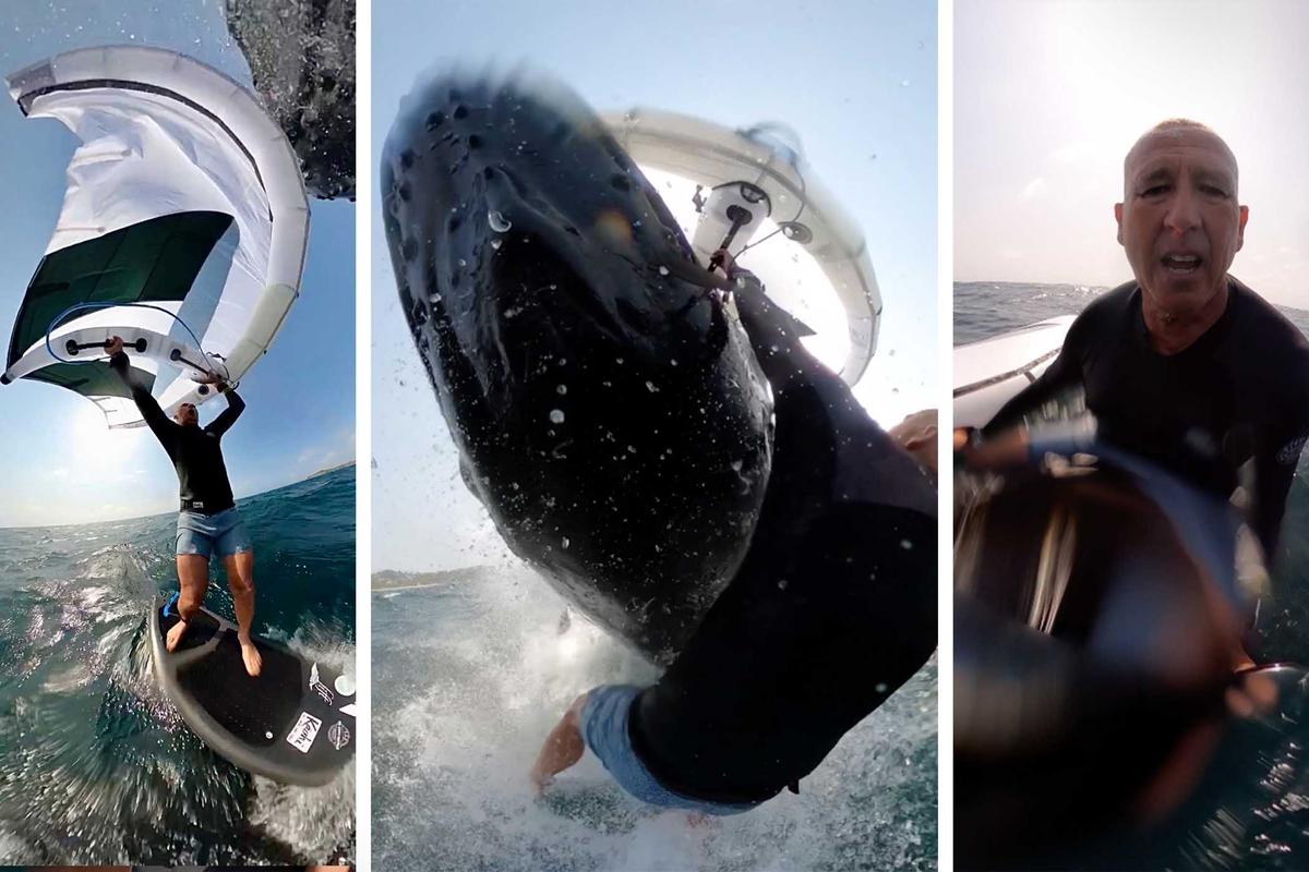 GoPro footage shows a whale colliding with Jason Breen while wing surfing. (Courtesy of @jasonthejaw)