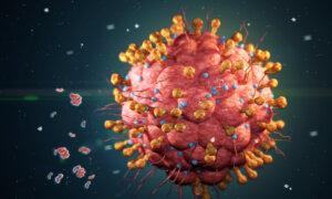 Viruses Reactivated After COVID-19 and Its Vaccine May Be Linked to Lymphopenia: Study