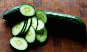 New Salmonella Outbreak Possibly Linked to Cucumbers: CDC
