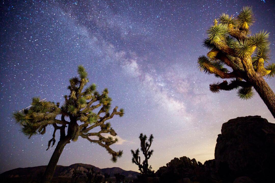7 Must-See Spots in Southern California’s Deserts