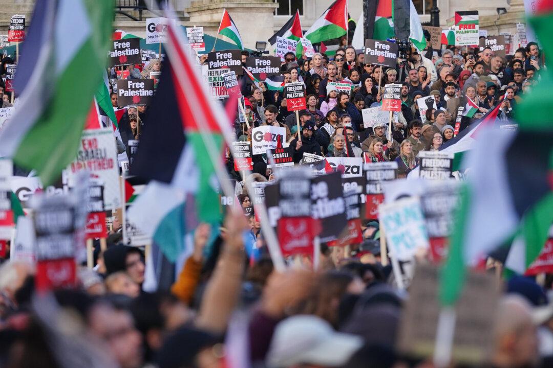 Met Commissioner: Pro-Palestinian March Will Go Ahead on Armistice Day