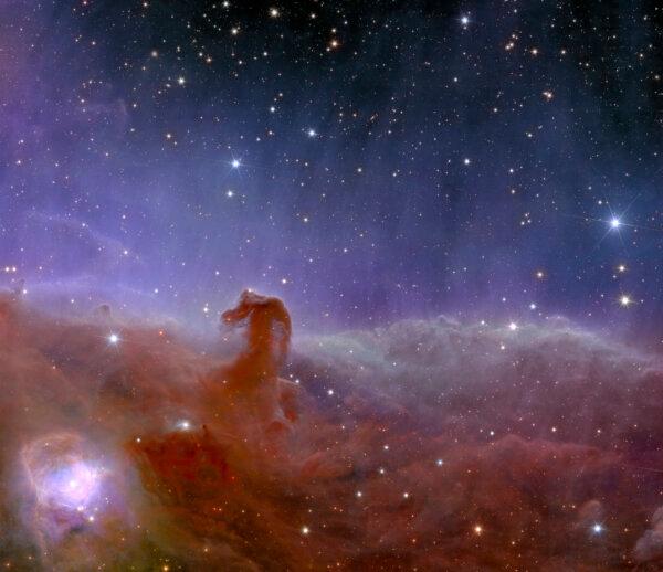 Euclid’s panoramic view of the Horsehead Nebula. (European Space Agency via AP)