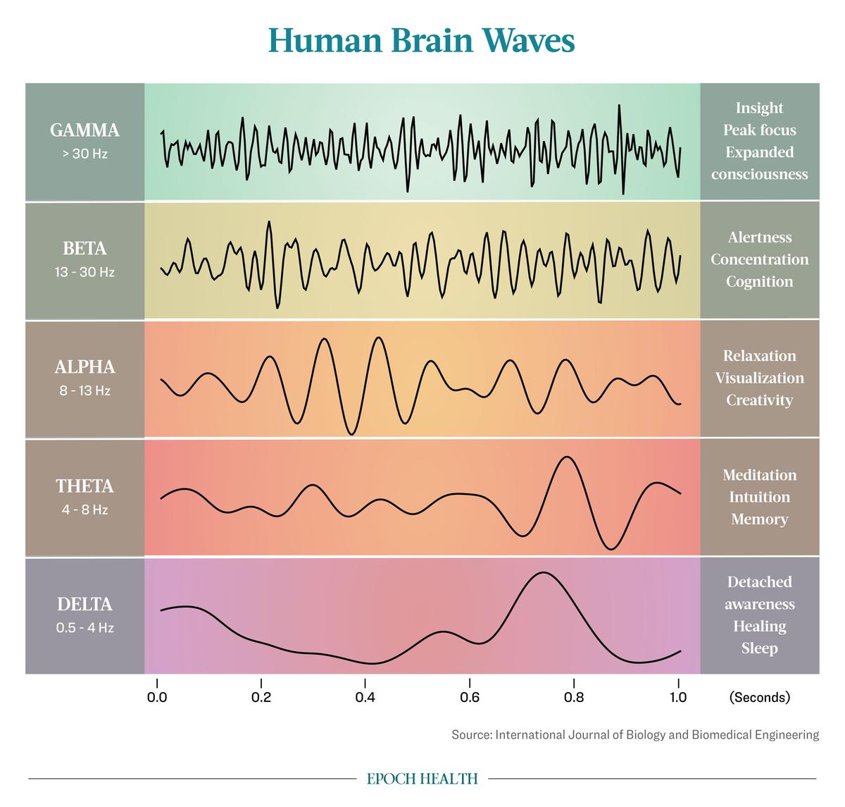 Deep 'Slow-Wave' Sleep: The Key to Maximizing Memory and Brain Health | USNN World News  (Illustrations by The Epoch Times, Shutterstock)