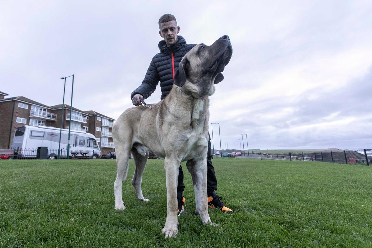 Abu and his owner, Dylan Shaw, 33, pictured outside in Saltburn, North Yorkshire. (SWNS)