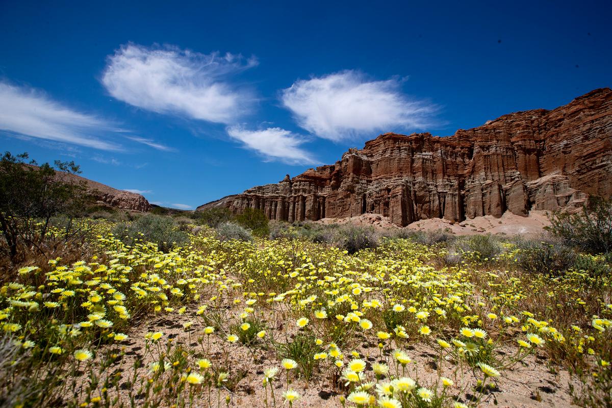 Campsite Reservations at California State Parks Can Be Hard to Get. Will a New Law Help?