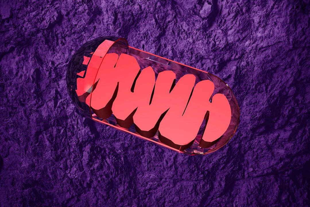 ‘Mitochondrial Dysfunction’ Is Not Dysfunction: Experts