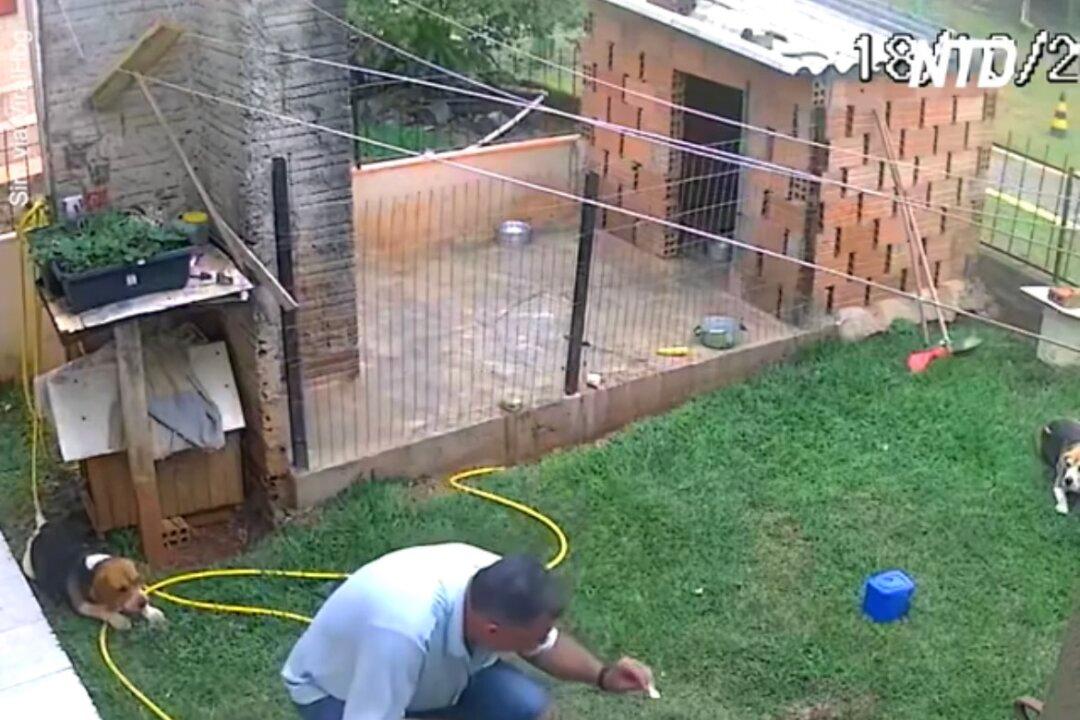 Man Turns His Whole Backyard Upside Down