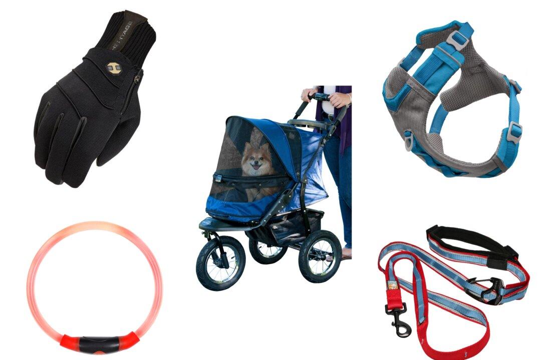 Dog Walking Essentials