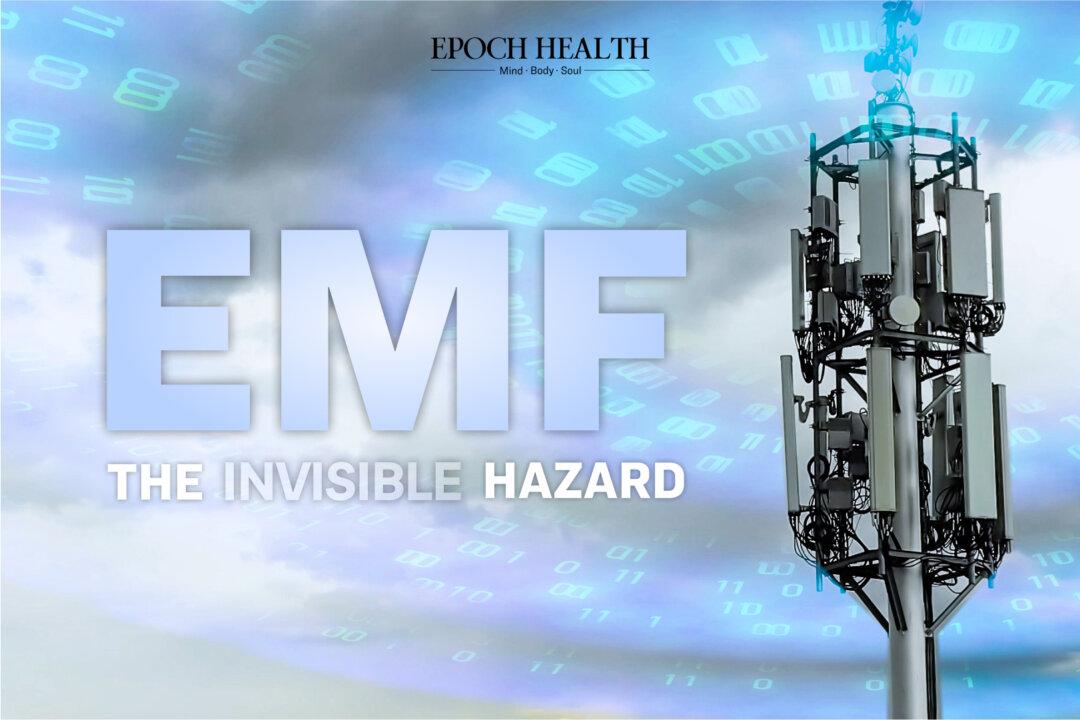 EMF: The Invisible Hazard