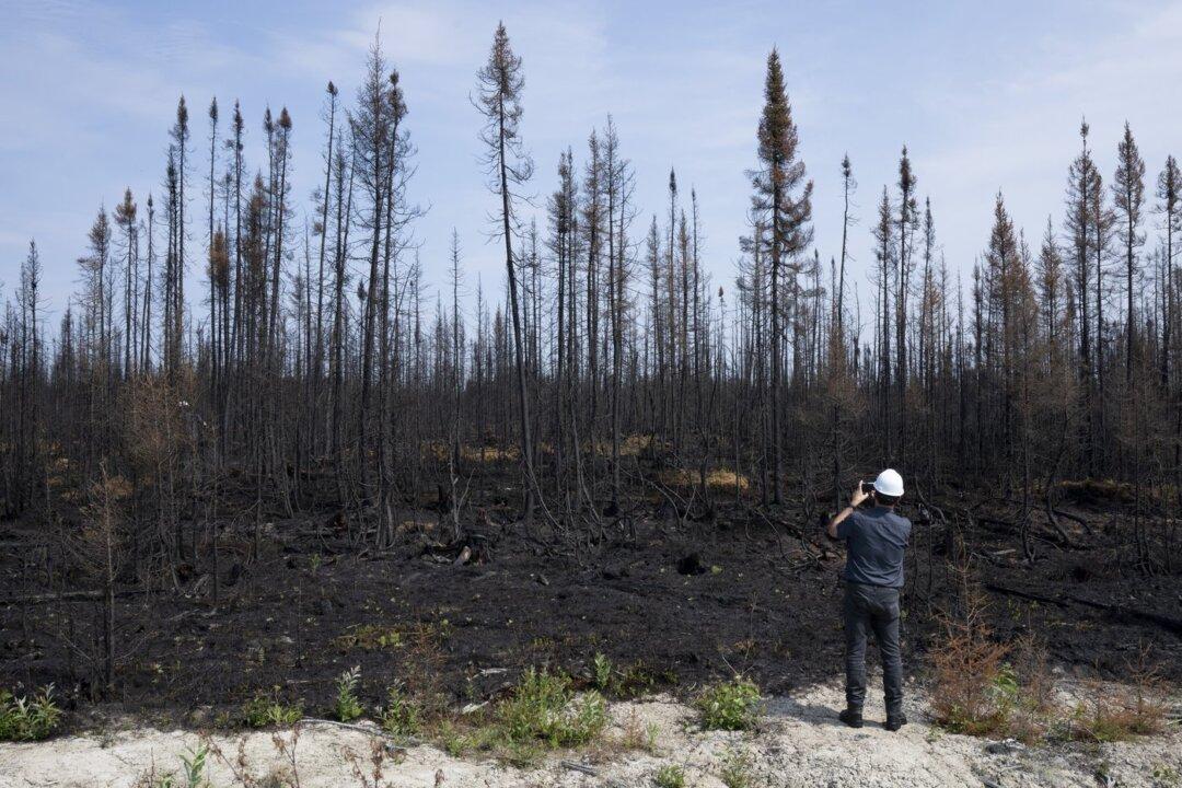 Quebec to Improve Forest Fire Adaptation After Record-Beating Wildfire Season