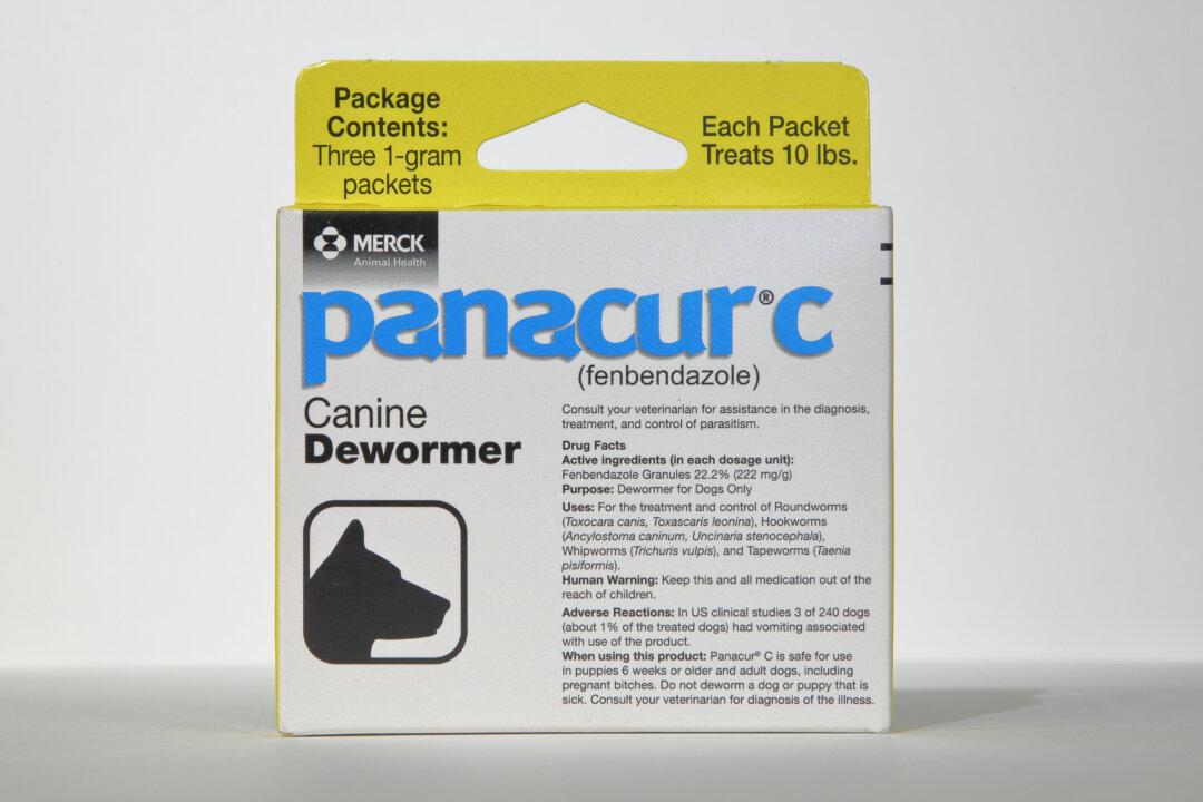 Street Meds for Cancer? Repairing the Liver After Fenbendazole