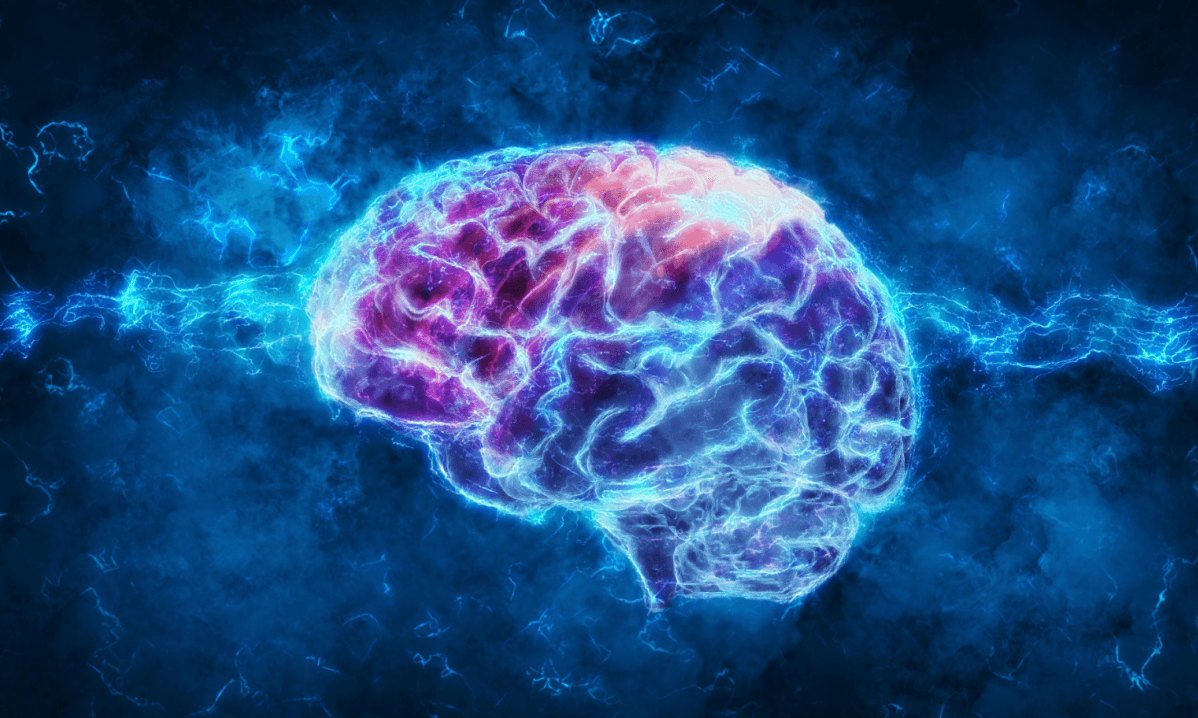 Contraceptives May Slow Brain Development, Increase Risk-Taking Behavior in Teens, Study Suggests