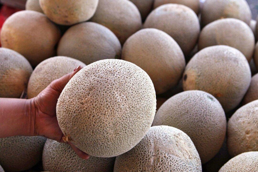 Eight Cases of Salmonella Linked to Imported Cantaloupes in BC