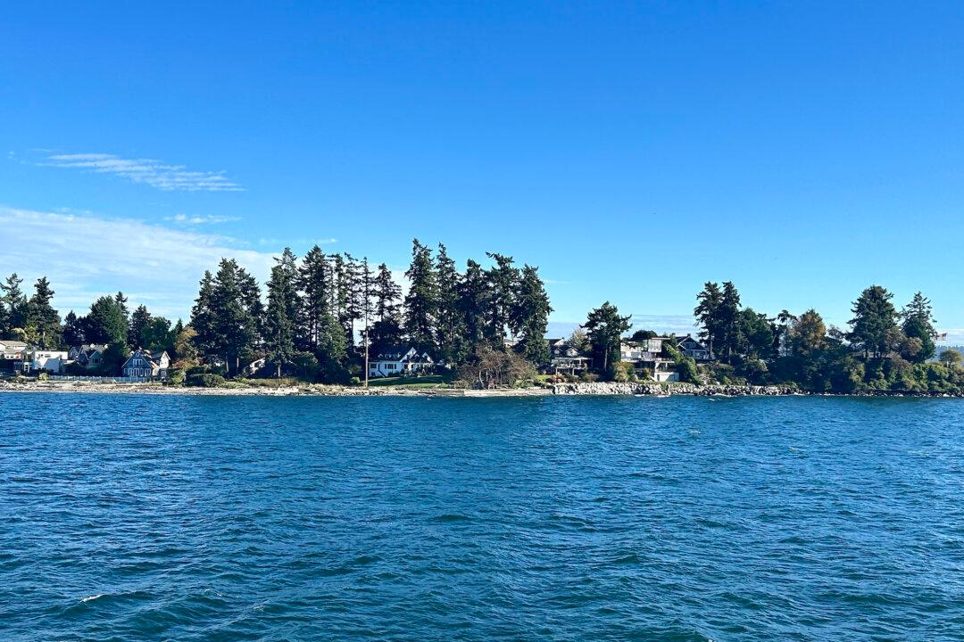 How ChatGPT Helped Plan My Trip and Cured My Traveler’s Indecision