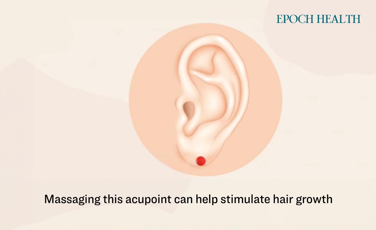  Massaging this acupoint not only promotes hair growth but also helps darken the hair. (The Epoch Times)