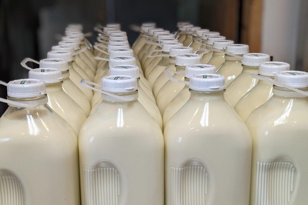 Raw Milk Movement Goes Mainstream