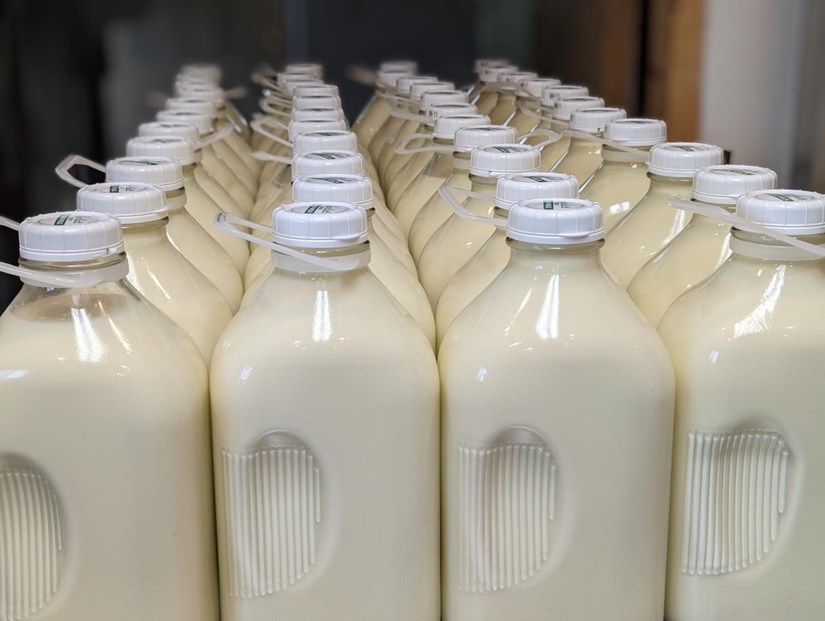 Louisiana to Legalize Sale of Raw Milk