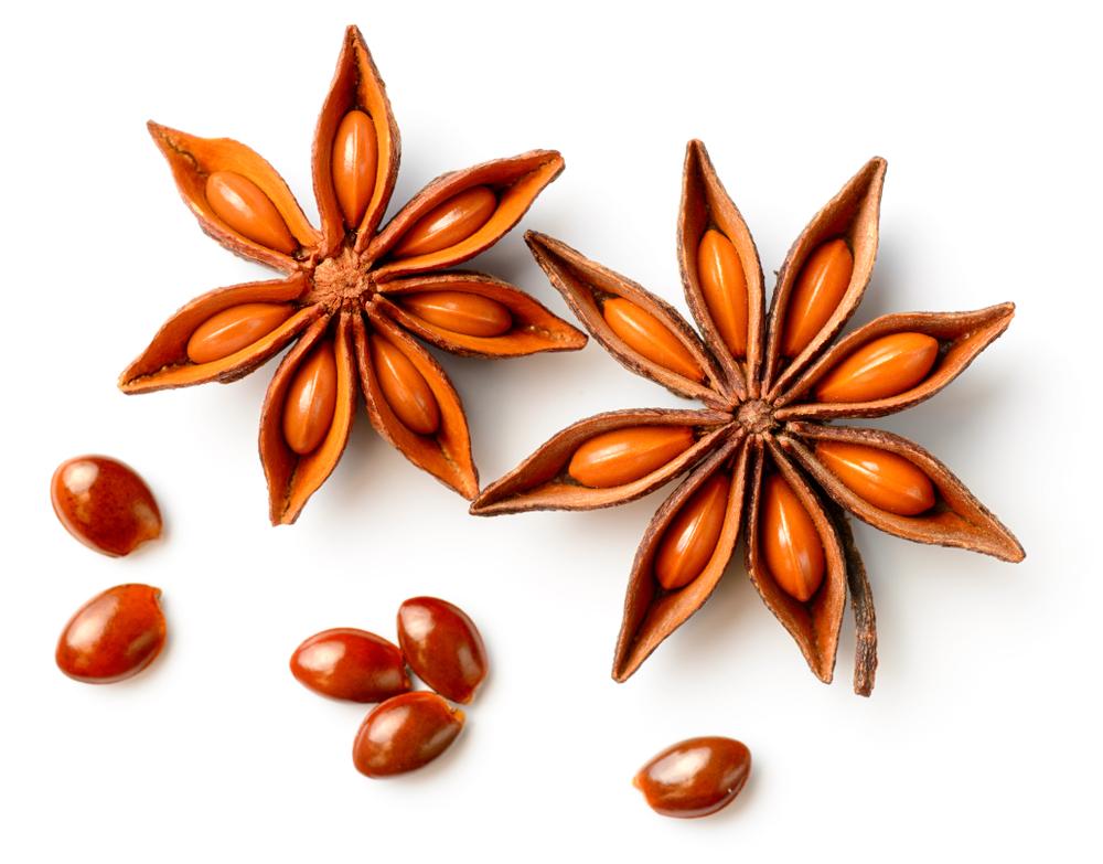 Star anise is an excellent choice for supporting digestion and easing stomach aches. (AmyLv/Shutterstock)
