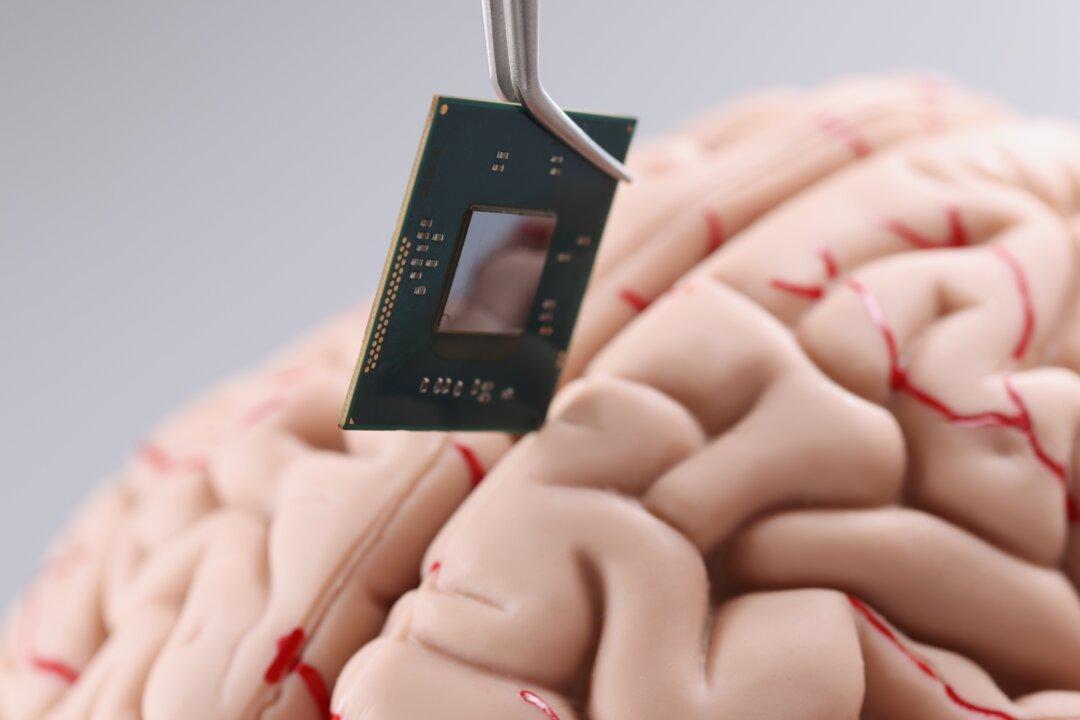 Elon Musk's Brain Implant Coming: What Are the Risks?