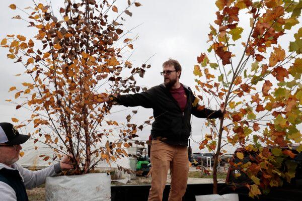 Customer Marty Moran of Mokena, left, gets help from field manager Joe Connolly with his shrubs and trees at the nursery in the family's home and garden area at Possibility Place Nursery in Monee on Oct. 27, 2023. (Antonio Perez/Chicago Tribune/TNS)