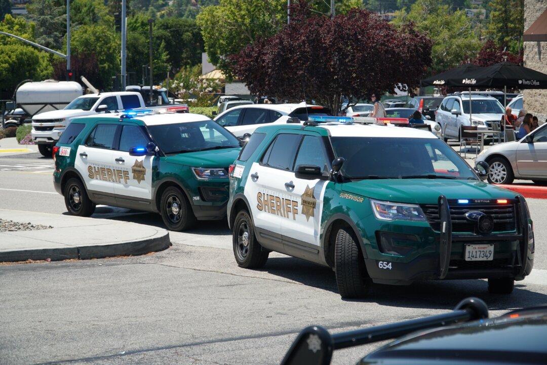 5-Year-Old Boy Fatally Stabs Twin Brother in California