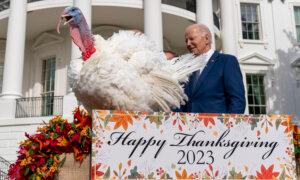 Biden Pardons National Thanksgiving Turkeys While Marking His 81st Birthday With Jokes About His Age
