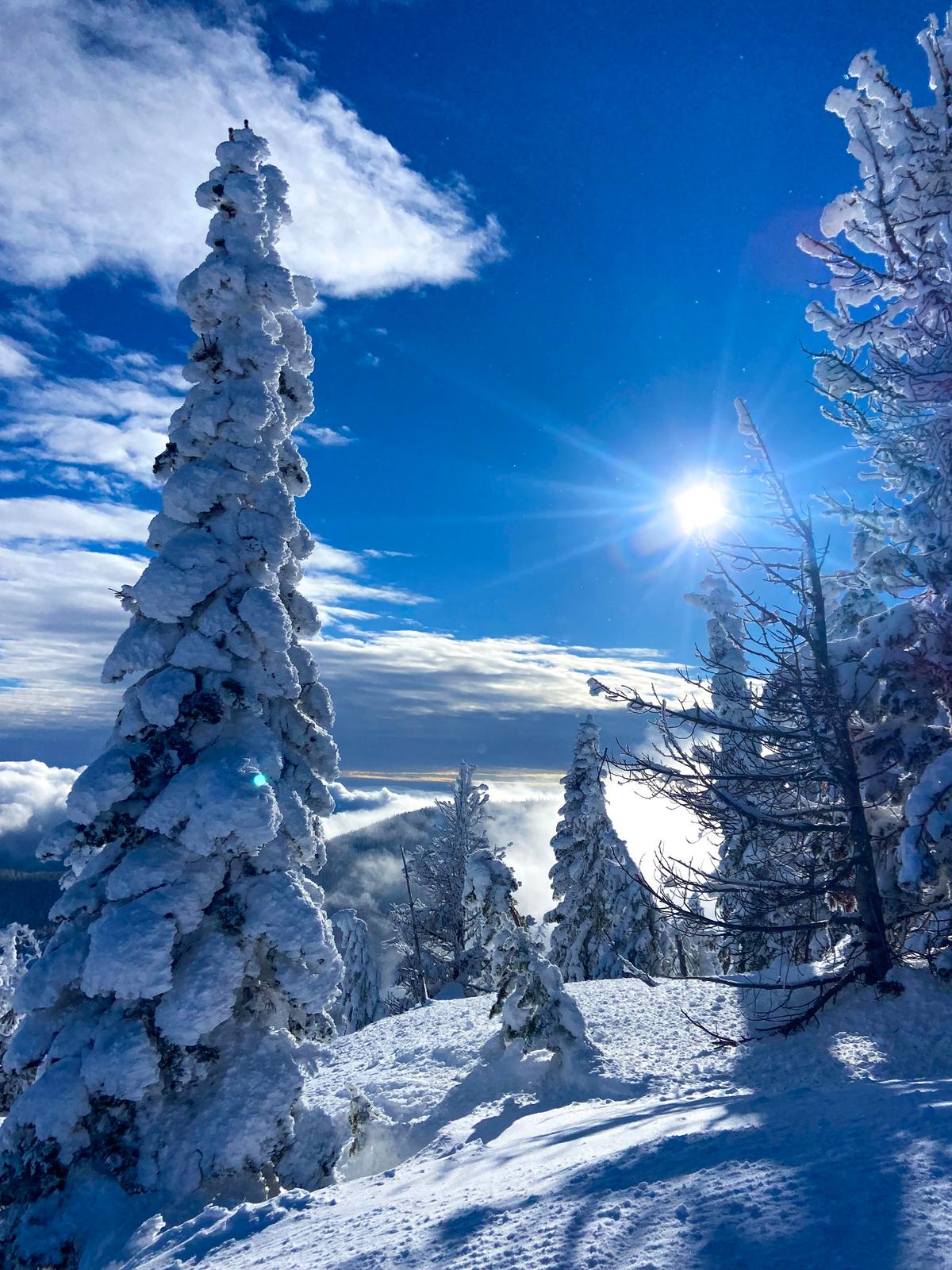 A Sampling of Idaho in 2 Seasons Shows There Is Much to Love About the Gem State