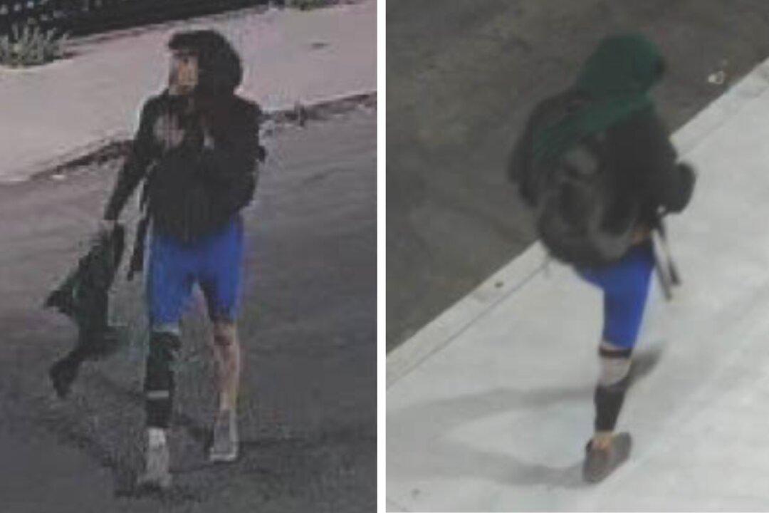 Authorities Search for Person of Interest in Los Angeles Freeway Fire