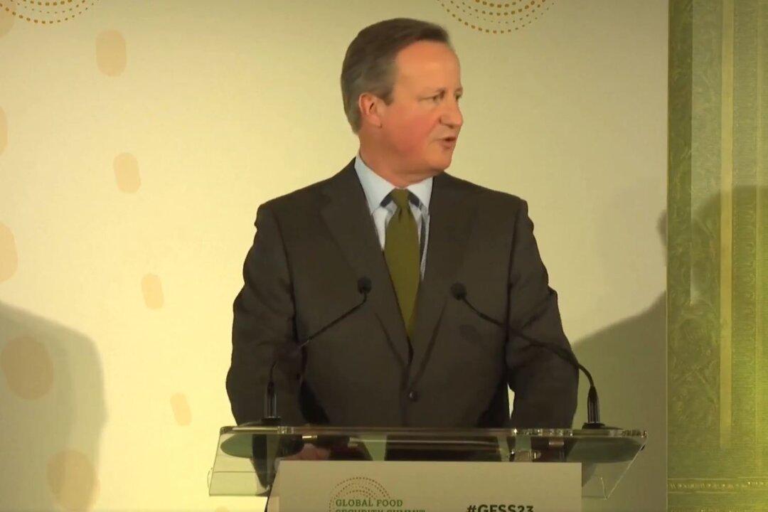 British Foreign Minister Cameron Closes Global Food Security Summit