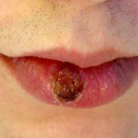 (Nau Nau/Shutterstock)