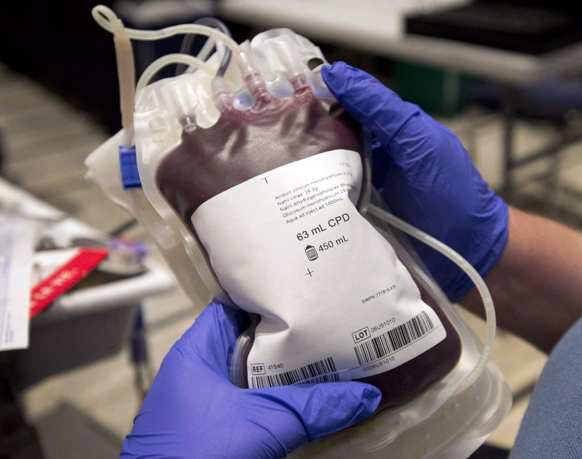 Health Canada Approves Nationwide Removal of Blood Donor Ban Sparked by Mad Cow Fears
