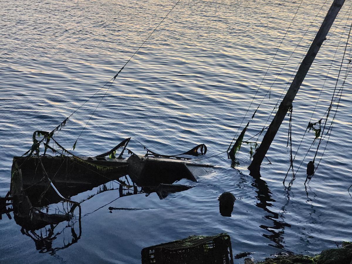  A sunken derelict boat—currently one of around 20—lies in the Oakland Estuary on Nov. 13, 2023. (Allan Stein/The Epoch Times)