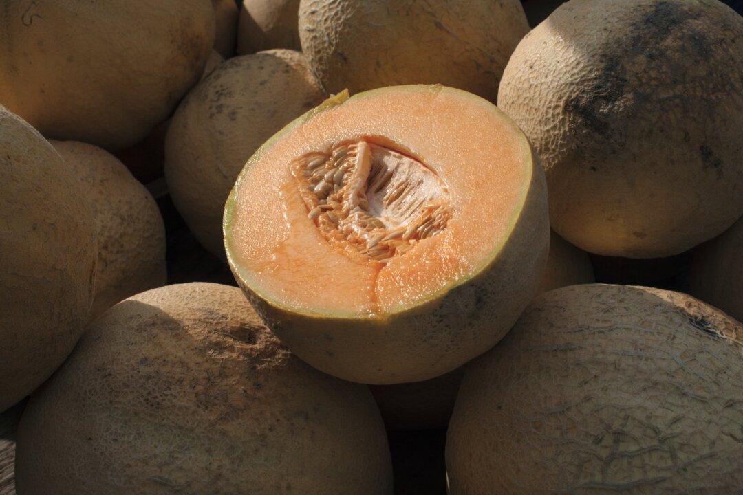 Malichita Cantaloupes Likely Cause of Salmonella Outbreak in Five Provinces: PHAC