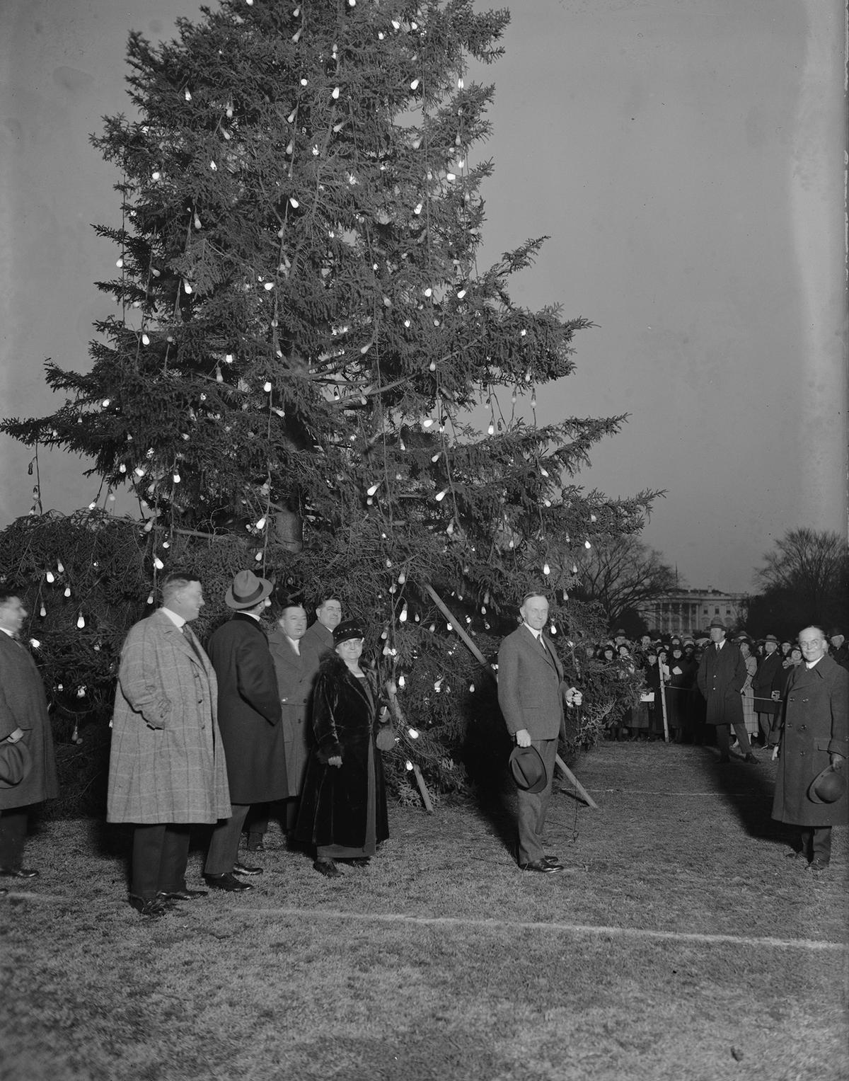 Calvin Coolidge at the lighting of the National Christmas Tree on Dec. 24, 1923. Library of Congress. (Public Domain)
