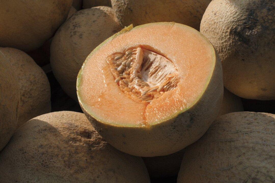 One Person Dead, 63 Confirmed Cases in Salmonella Outbreak Linked to Cantaloupe: PHAC