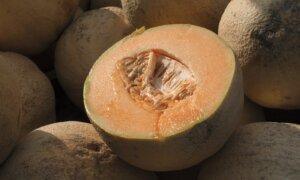 Death Toll Rises to Five in Cantaloupe Salmonella Outbreak, as Cases Almost Double