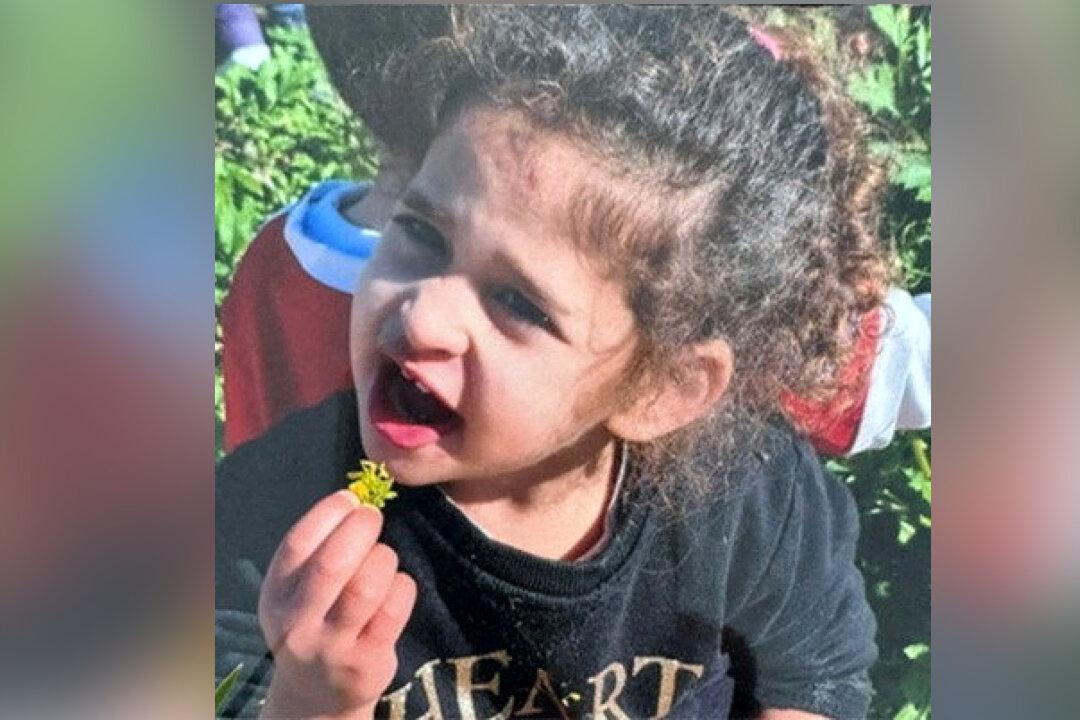 4-Year-Old American Hostage Released by Hamas