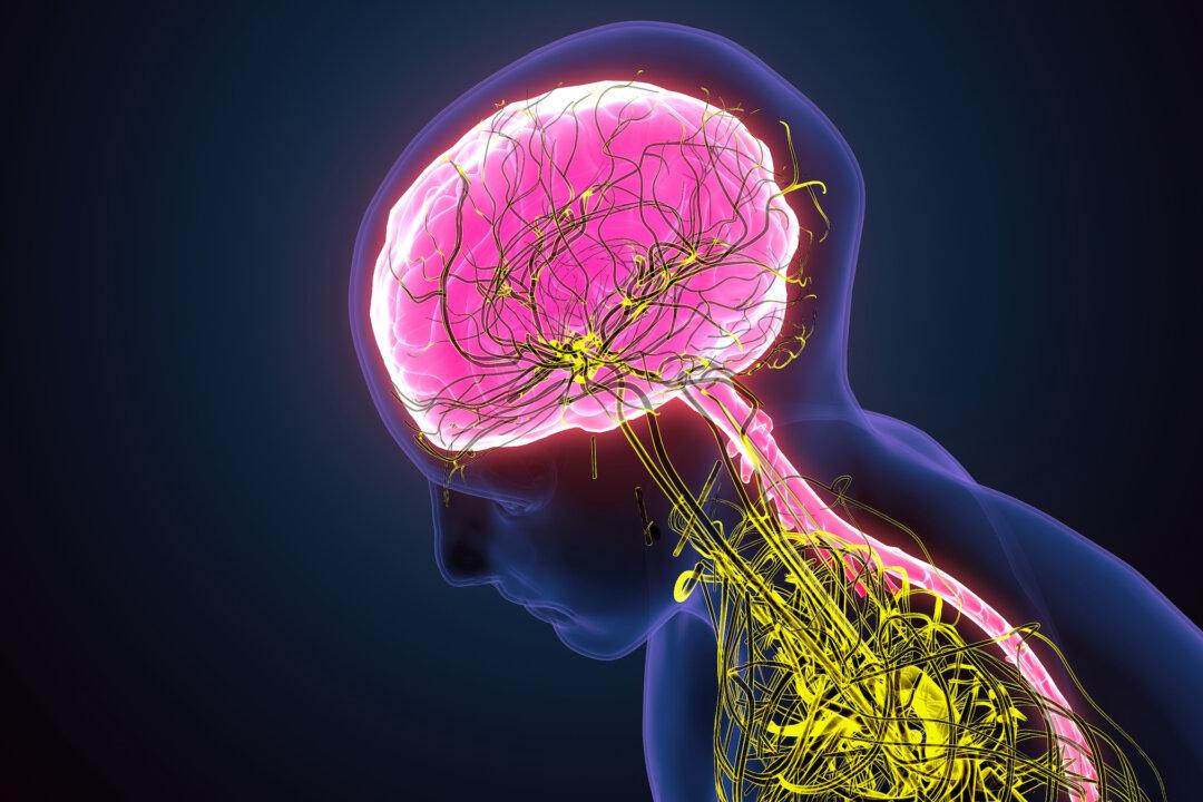 Experts Predict Mind-Controlled Devices May Be Common by 2040s